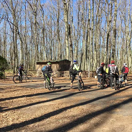 Ciliegio Appartamento Capranica